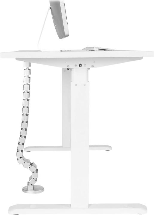 Immagine prodotto StarTech Cavo Manager Spina Dorsale (129 cm)