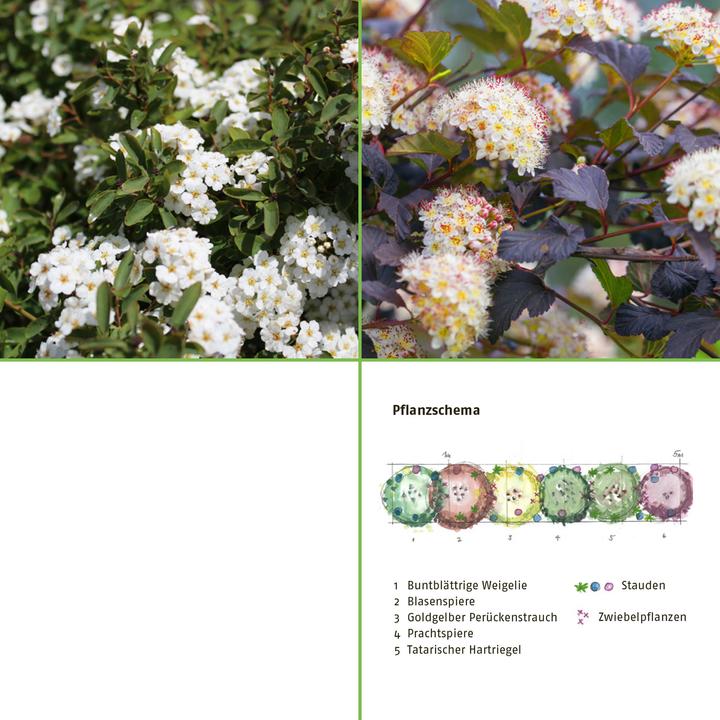 Actual product image Zulauf Rear set: Leaf variety (100 cm)