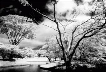 Immagine prodotto Cokin Filtro P007 Infrared 89B (82 mm, Filtro a trasmittanza infrarossa, 84 mm)