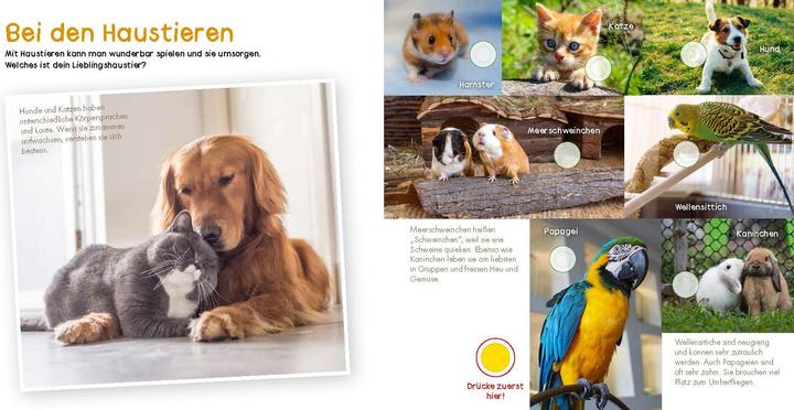 Immagine prodotto Il mio grande libro sonoro - Come suonano gli animali (Tedesco)
