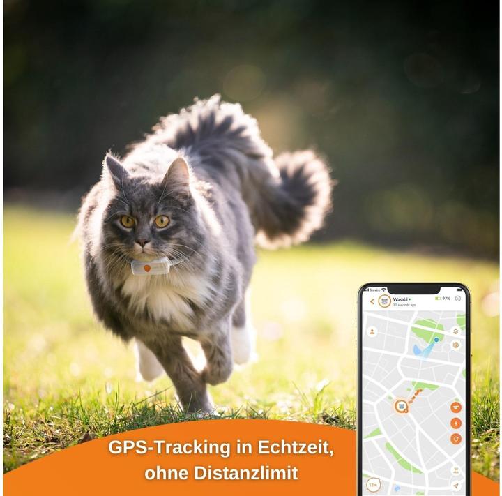 Produktbild Weenect GPS-Tracker XS für Katzen, Weiss (Android, iOS)