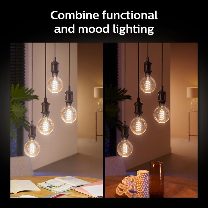 Productafbeelding Philips Hue E27 Enkelvoudige verpakking Giant Globe (E27, 7 W, 550 lm, 1 x, G)