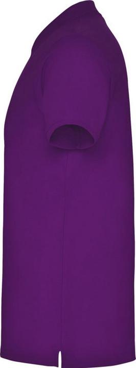 Image du produit Alpinia - Polo STAR - Homme (L)