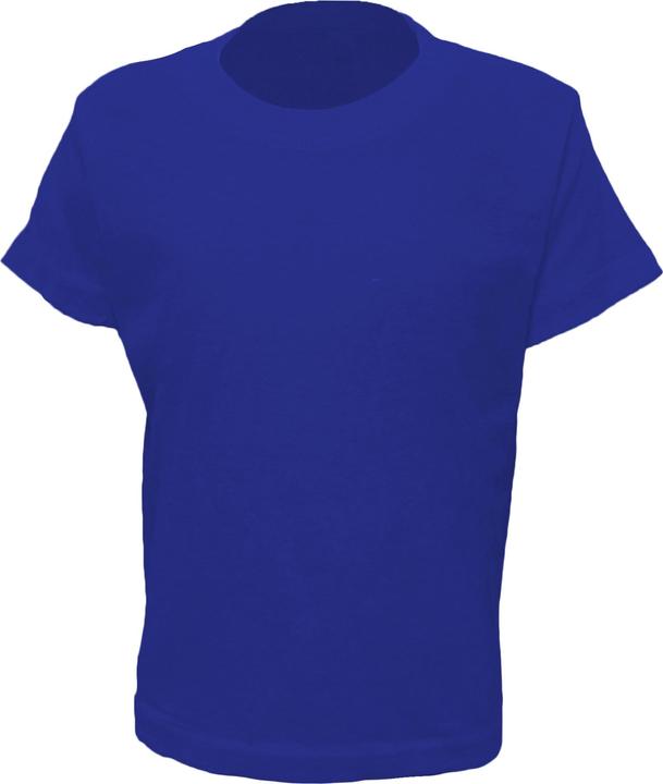 Bleu roi