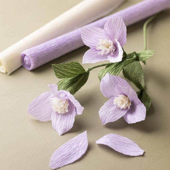 Actual product image Creativ Company Crepe paper (105 g/m², 8 x)