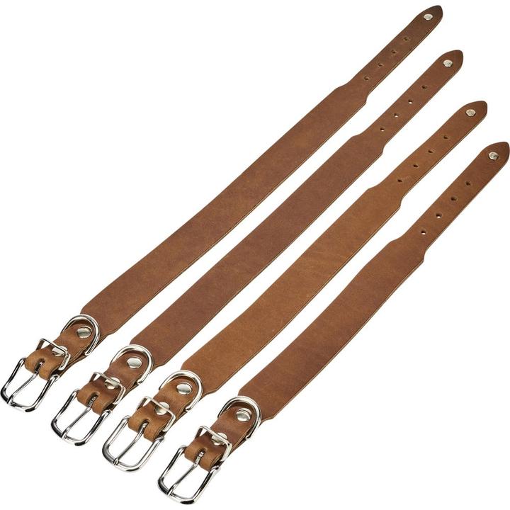 Image du produit Laboni Collier Giro M (M, Chien, Général)