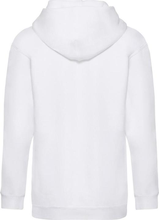 Actual product image Fruit of the Loom Childrens/Kids Premium Hooded Sweatshirt (140, 146)
