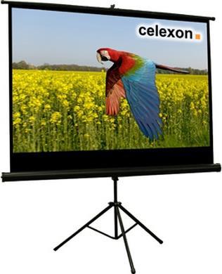 Actual product image Celexon Eco tripod, screen, 16:9 (86.22", 16:9)