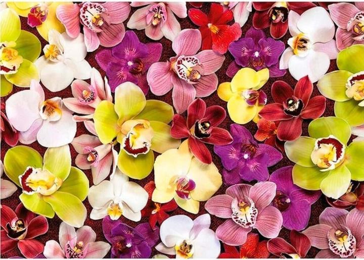 Produktbild Educa 19558 Puzzle 1000 Pcs. Orchid Collage (1000 Teile)