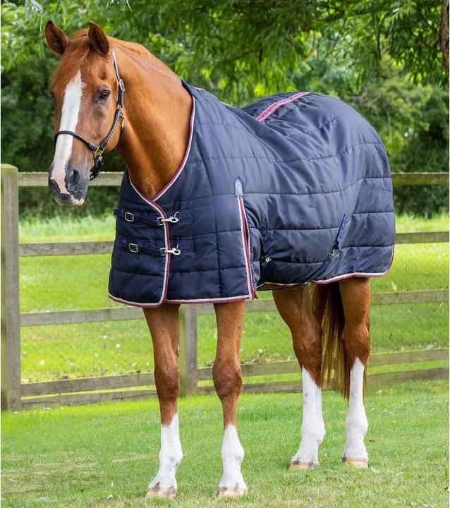 Premier Equine Garissa 100 g