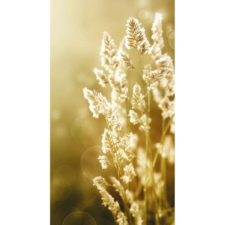 Produktbild Trenddeko Sonniges Kornfeld (144 x 260 cm)