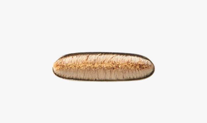 Immagine prodotto MAC Cosmetics 212 pennello Definer piatto (Eyeliner)