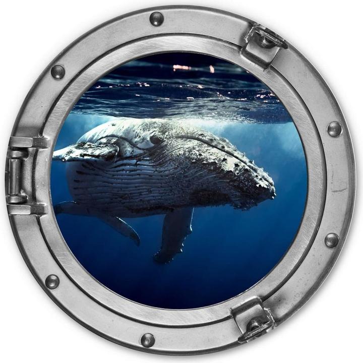 Trenddeko 3D-Optik Bullauge - Baleine à bosse en plongée