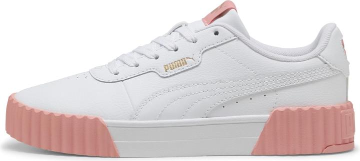 Puma Carina 3.0 (38.5)