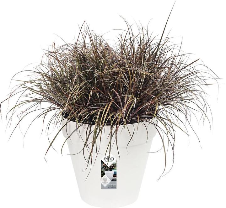 Actual product image Elho Loft Urban (19.30 cm)