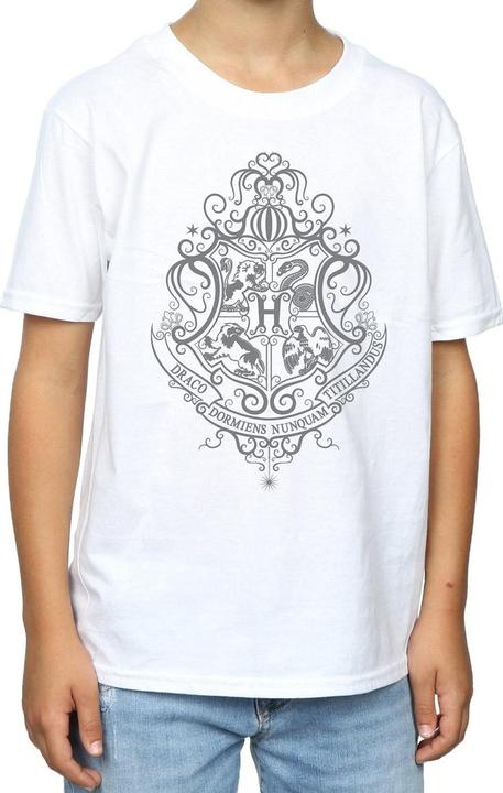 Actual product image Boys Hogwarts Draco Dormiens Crest T-Shirt (152, 158)