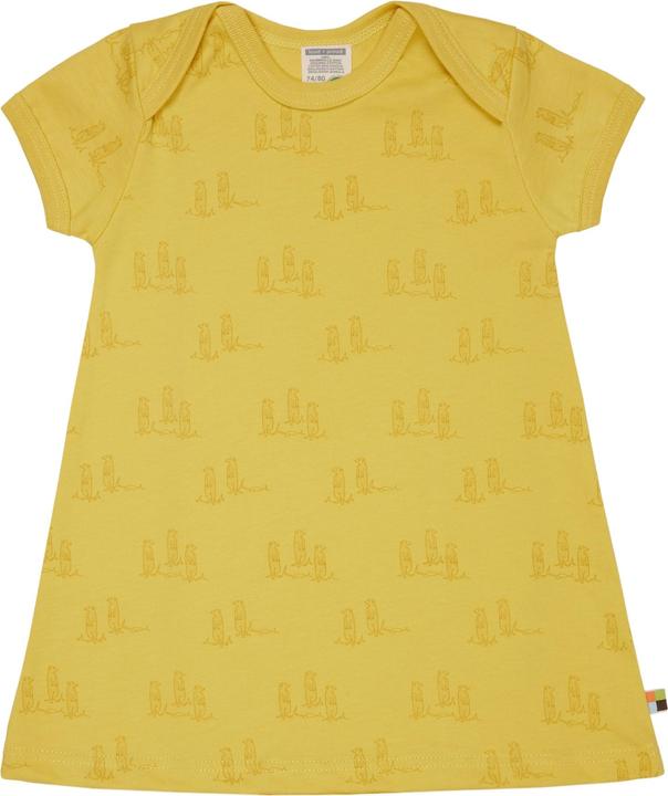 Actual product image loud + proud Dress print (92)