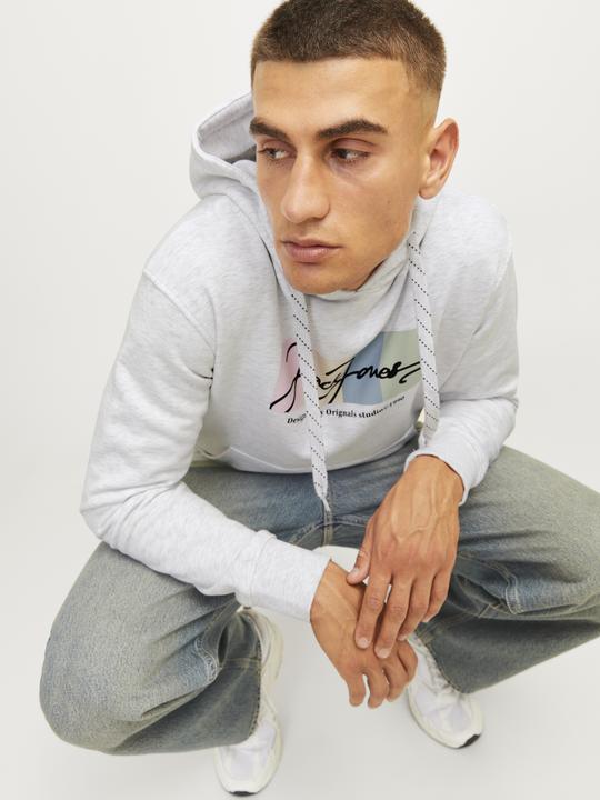 Produktbild Jack & Jones Jorportland Block Sweat Hood Ln (XL)