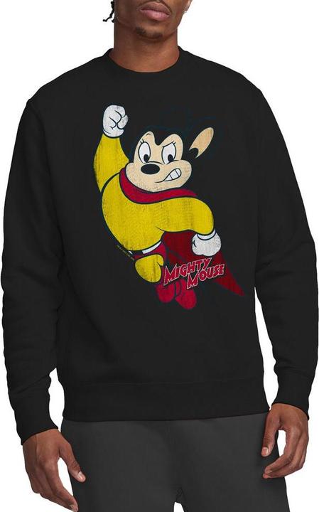 Actual product image Fruit of the Loom Unisex Adult Classic Hero Sweatshirt (L)