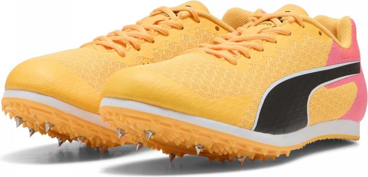 Image du produit Puma evoSPEED Star 9 Junior (35)