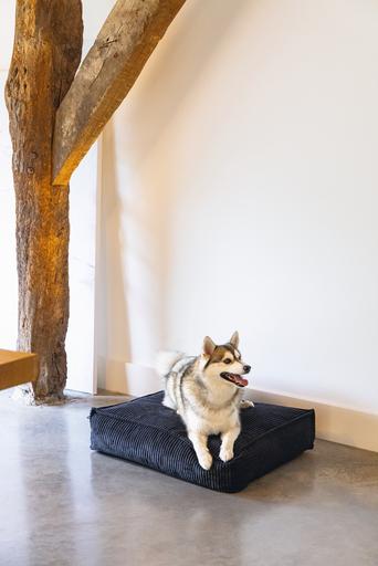 Actual product image Designed by Lotte Ribbed Cushion (Dog)