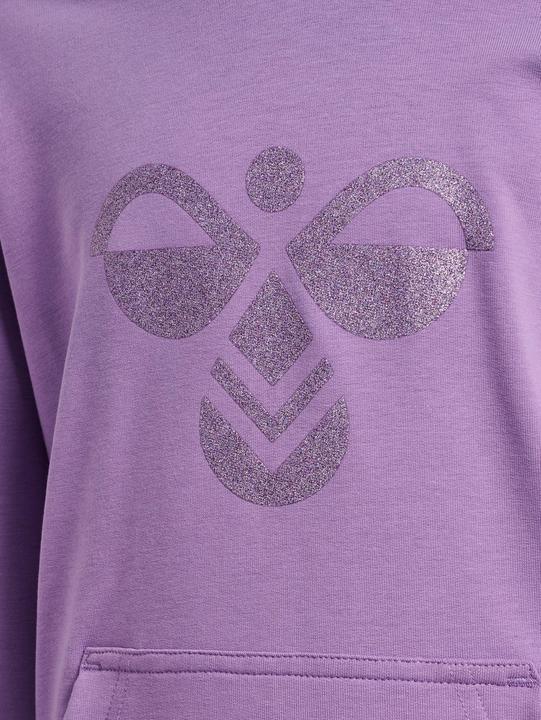 Image du produit hummel hmlCUATRO HOODIE (176)