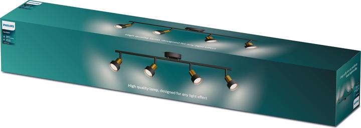 Actual product image Philips Conduit (GU10)