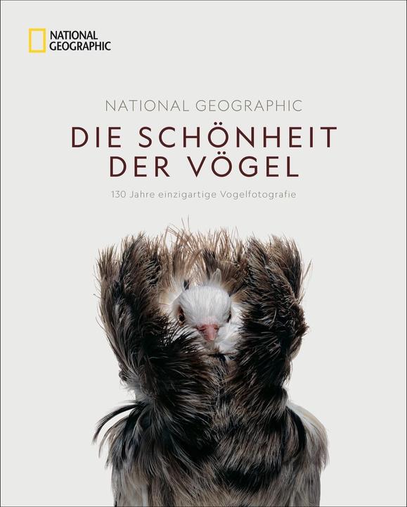 Produktbild National Geographic Die Schönheit der Vögel (Deutsch, Catherine Herbert Howell, 2019)