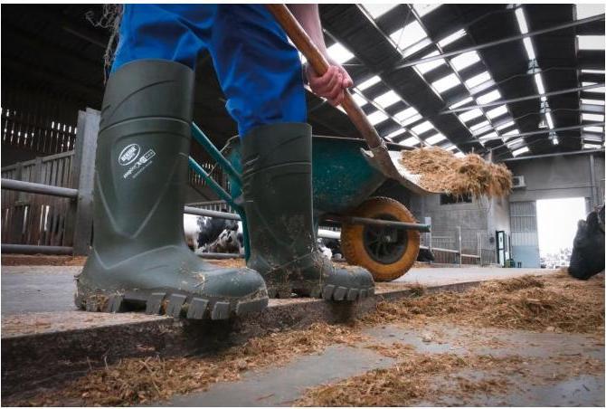 Image du produit Kerbl Bottes de sécurité S5 Bekina Steplite XCI Winter (S5, 37)