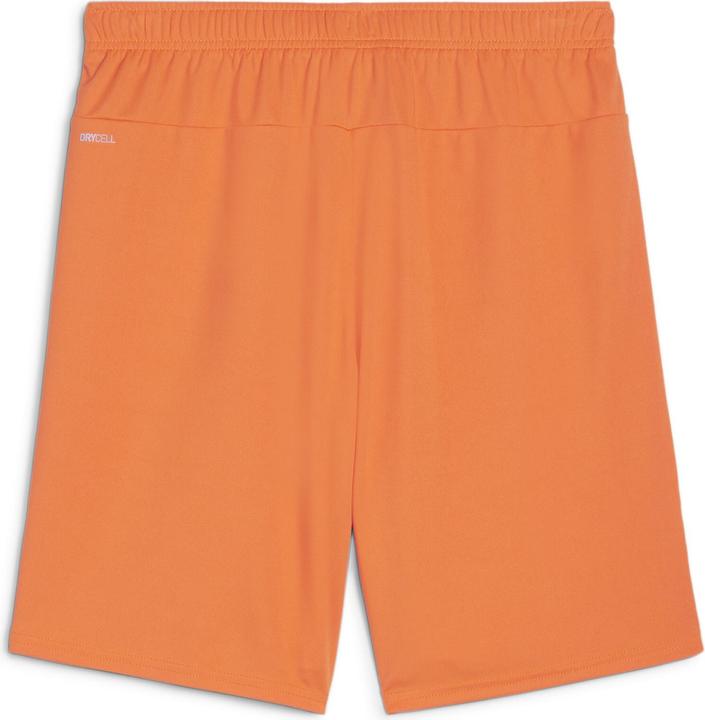 Actual product image Puma teamGOAL shorts (S)