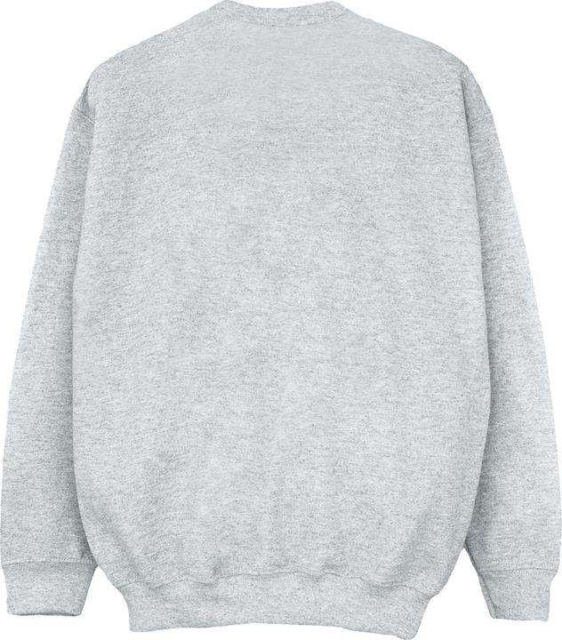 Image du produit Dick Smith Sweatshirt classique pour filles (128)