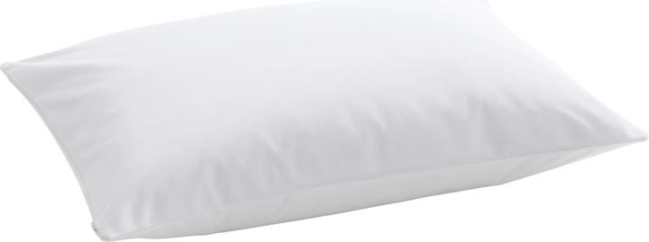 Actual product image Billerbeck Cushion cover (Pillowcase, 65 x 100 cm)