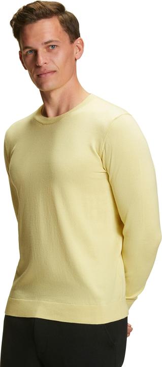 Actual product image Falke Men Pullover (M)