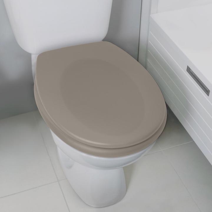Image du produit spirella Siège de toilette Neela Taupe mat