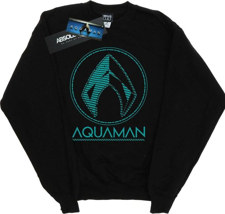 Jungen Aquaman Aqua Logo Sweatshirt