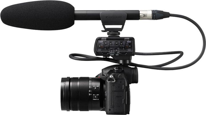 Actual product image Panasonic Video Interface DMW-XLR1 for GH5