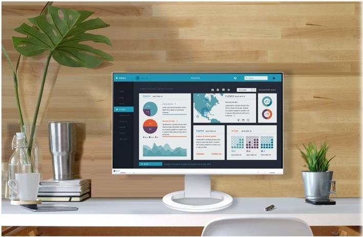 Actual product image Eizo FlexScan EV2490 (1920 x 1080 pixels, 23.80")