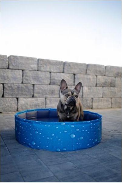 Actual product image Kerbl Dog pool Bubble, paddling pool for dogs, robust scratch-resistant Foldable, 2 gr. (Dog pool)