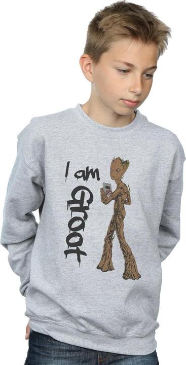 Image du produit - Sweat AVENGERS INFINITY WAR GRAFFITI GROOT - Garçon (152, 158)