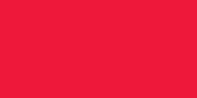 Immagine prodotto Prym Nastro satinato, lucido su entrambi i lati, rosso 15 mm, buono 3 m, 100 % PES (Nastro da regalo, 1 x)