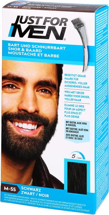 Just For Men Brush-In-Color-Gel (Schwarz)