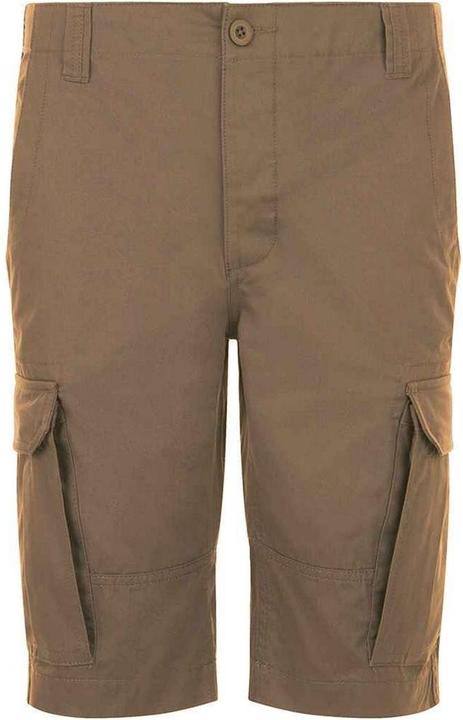 Sols Jackson CargoShorts