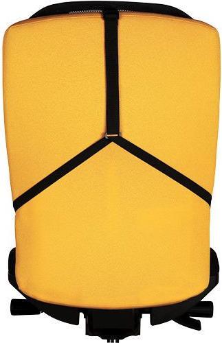 Actual product image Fellowes Back support