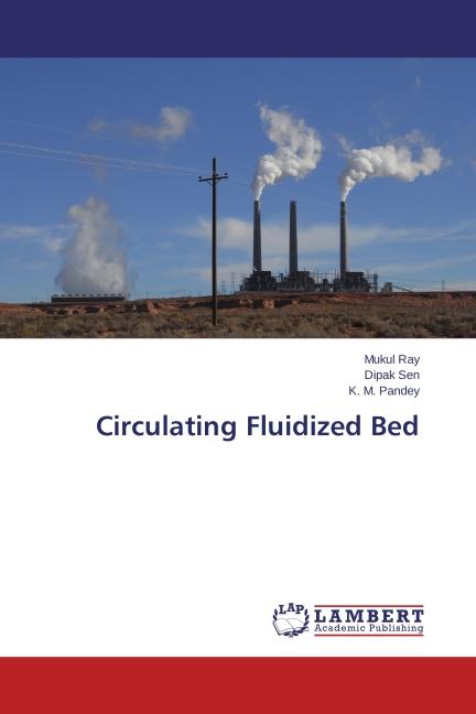 Image du produit Circulating Fluidized Bed (Dipak Sen, Mukul Ray, K. M. Pandey, 2014)