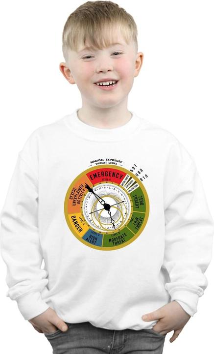 Actual product image Fantastic Beasts Boys Threat Level Sweatshirt (140, 146)