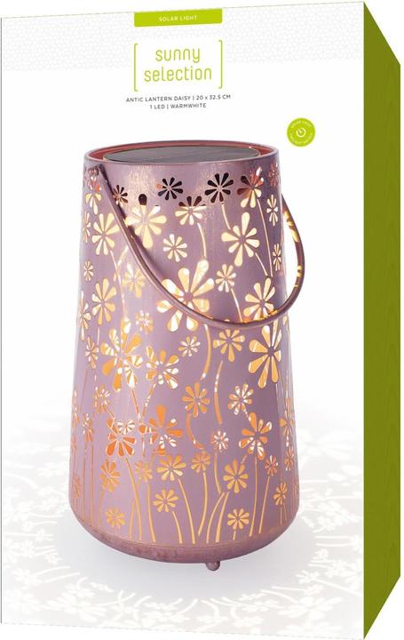 Image du produit STT Antic Daisy