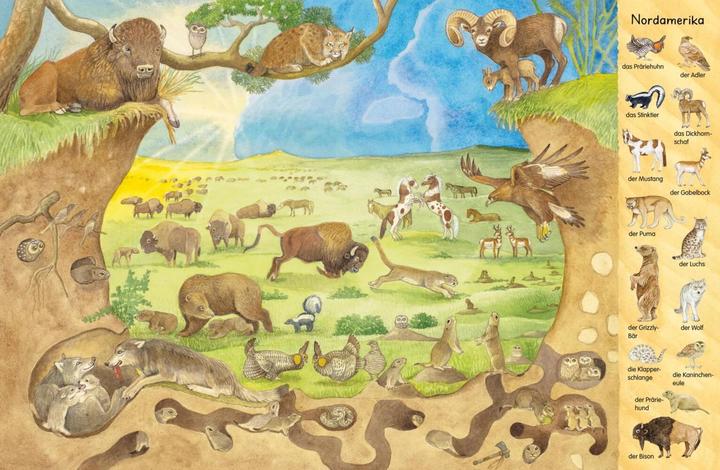 Image du produit Mon premier livre d'images : Les animaux du monde entier (Allemand)