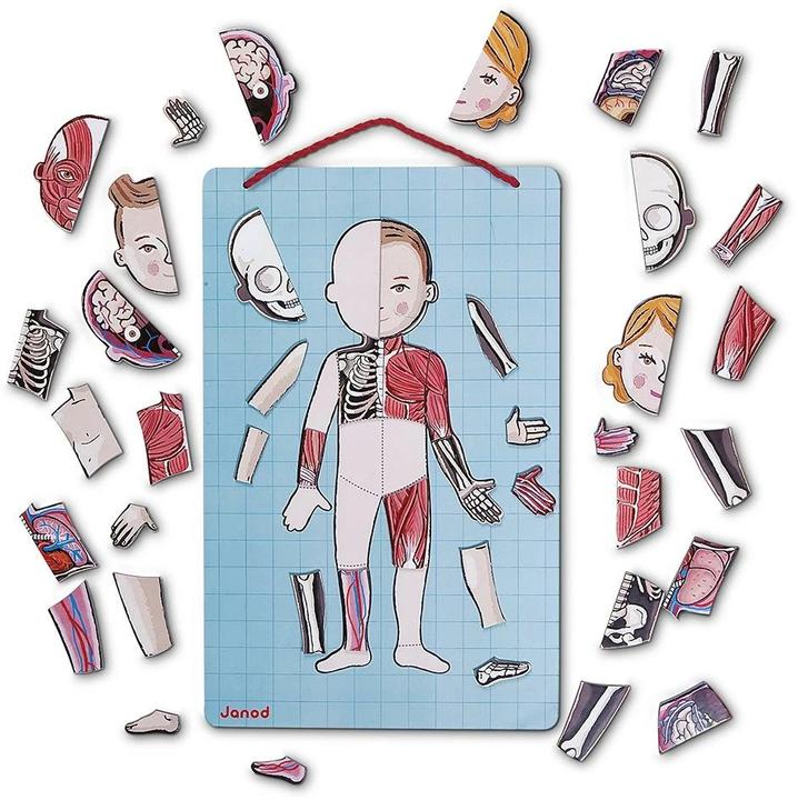 Actual product image Janod Magnetic body (German, English, French, Italian, Spanish)
