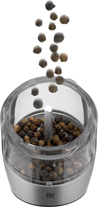 Actual product image WMF 6734 (Salt, Pepper, Chili)