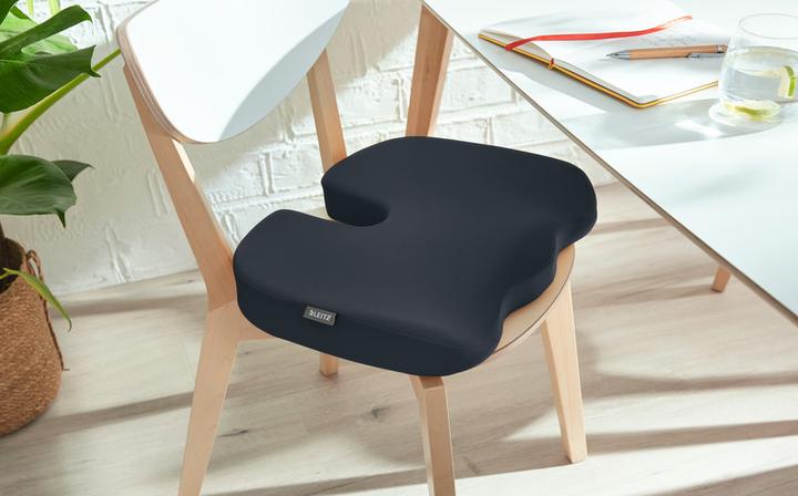Actual product image Leitz Seat Cushion Ergo Cosy (45.5 x 35.5 cm)